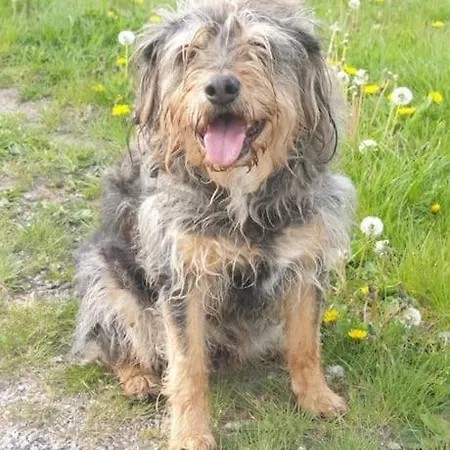 Апартаменты Kleine Studio Op Boerenerf Vlakbij Amsterdam.