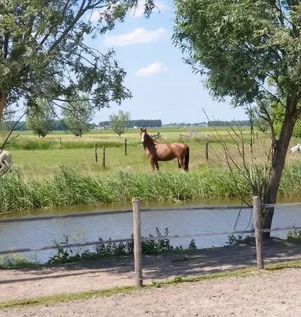 Апартаменты Kleine Studio Op Boerenerf Vlakbij Amsterdam.