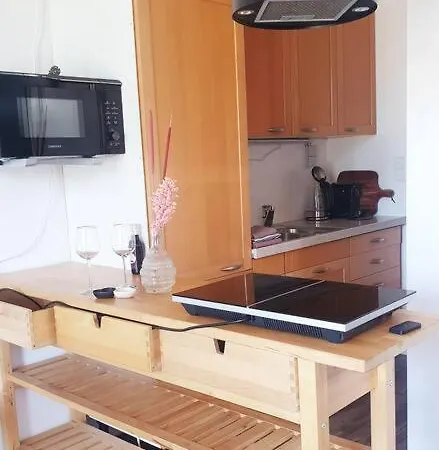 Kleine Studio Op Boerenerf Vlakbij Amsterdam. *