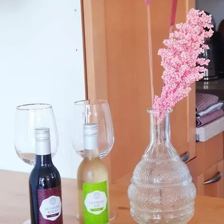 Kleine Studio Op Boerenerf Vlakbij Amsterdam. Apartment *