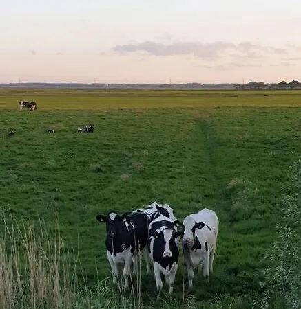 Apartment Kleine Studio Op Boerenerf Vlakbij Amsterdam.