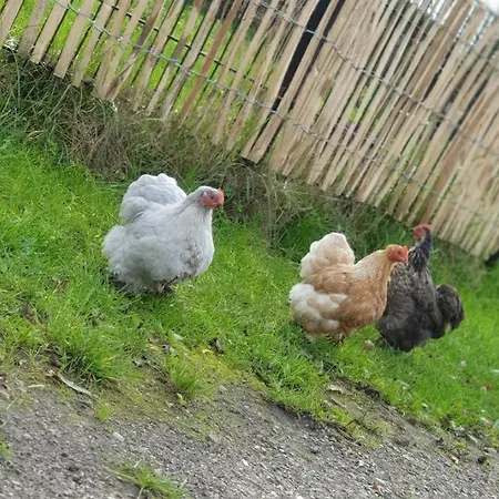 Kleine Studio Op Boerenerf Vlakbij Amsterdam. Apartment